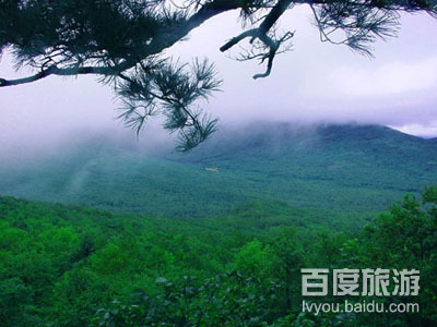 伊春兴安森林公国