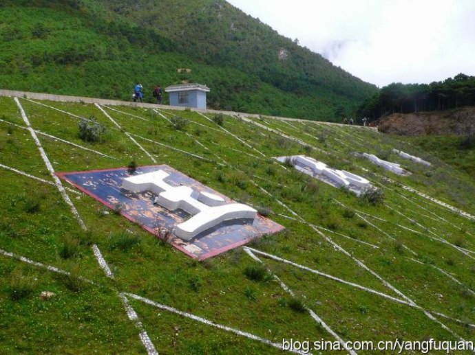 丽江高山w植物园