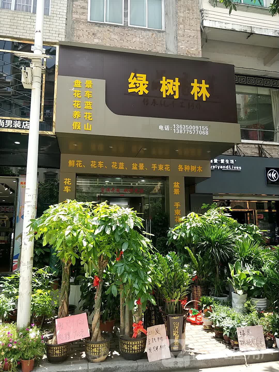 绿树林鲜花批发部