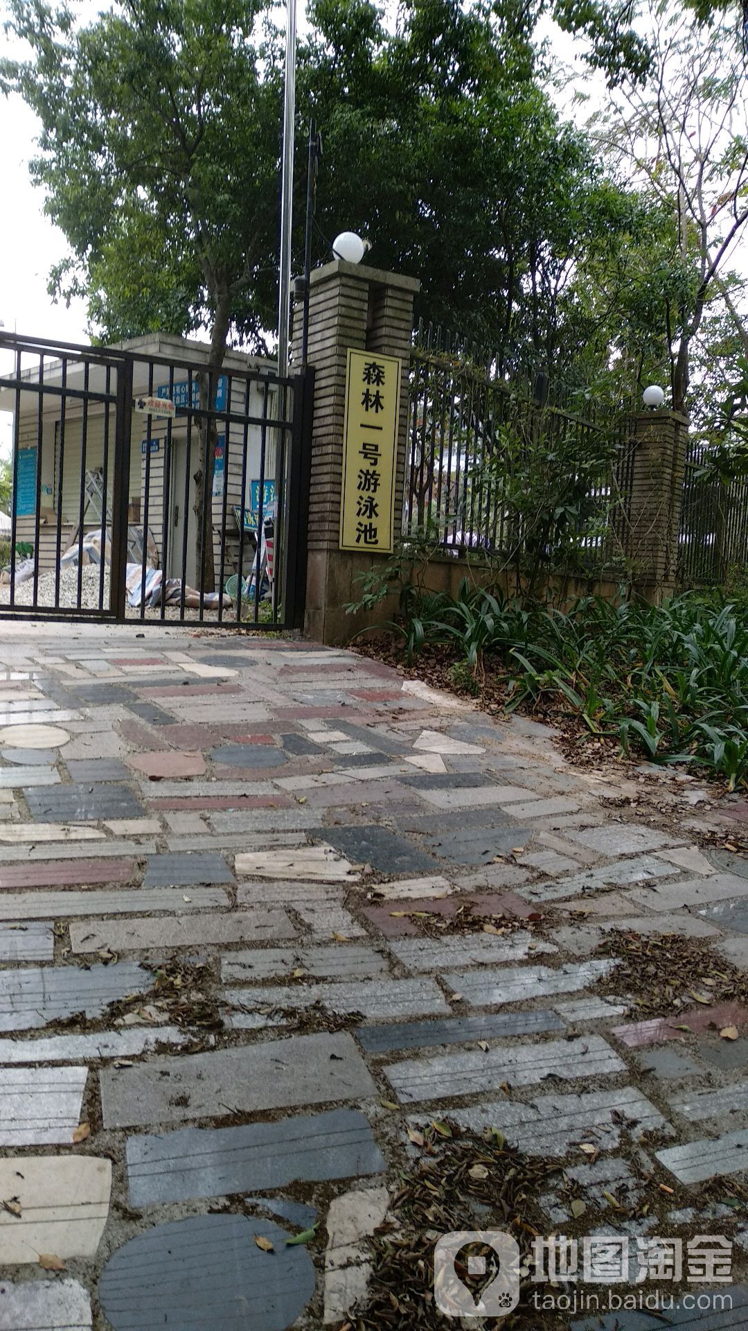 森林一号游泳池