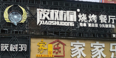 筷洞树