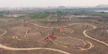 广利河森林湿地公园