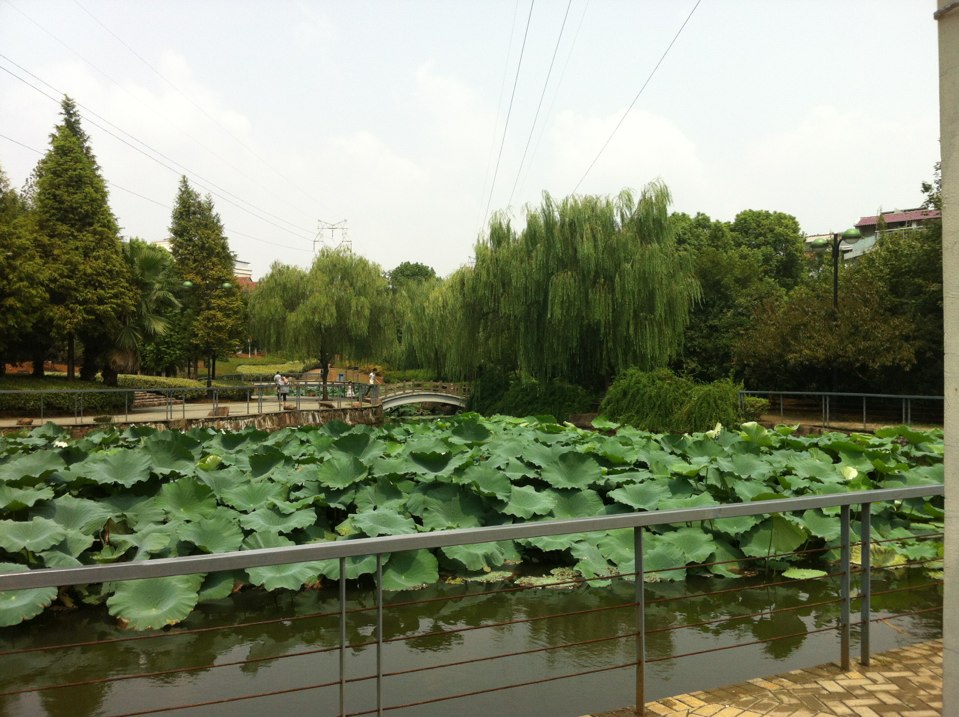 词林公园