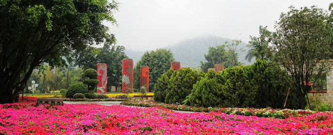 东南花都花博园展馆