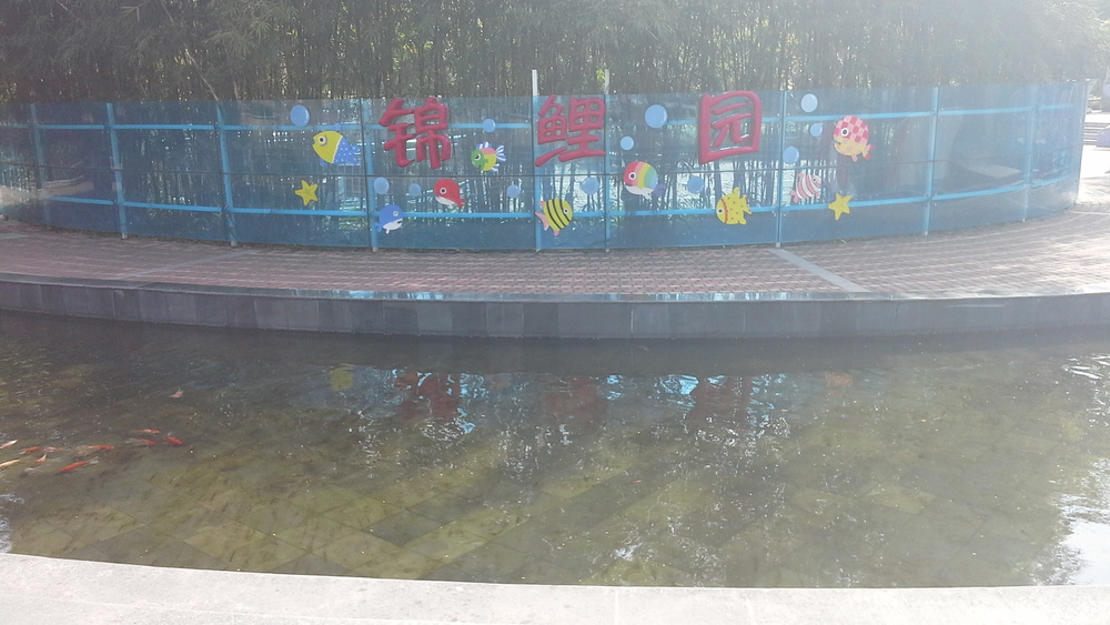 锦鲤园