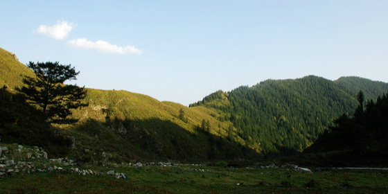 南梁沟自然风景区