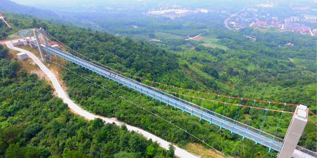 龙山绿道玻璃悬索桥风景