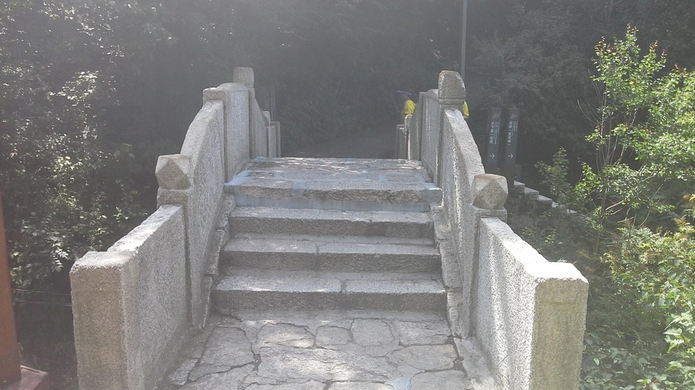 莲花池