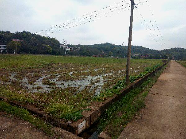 田洞百花园