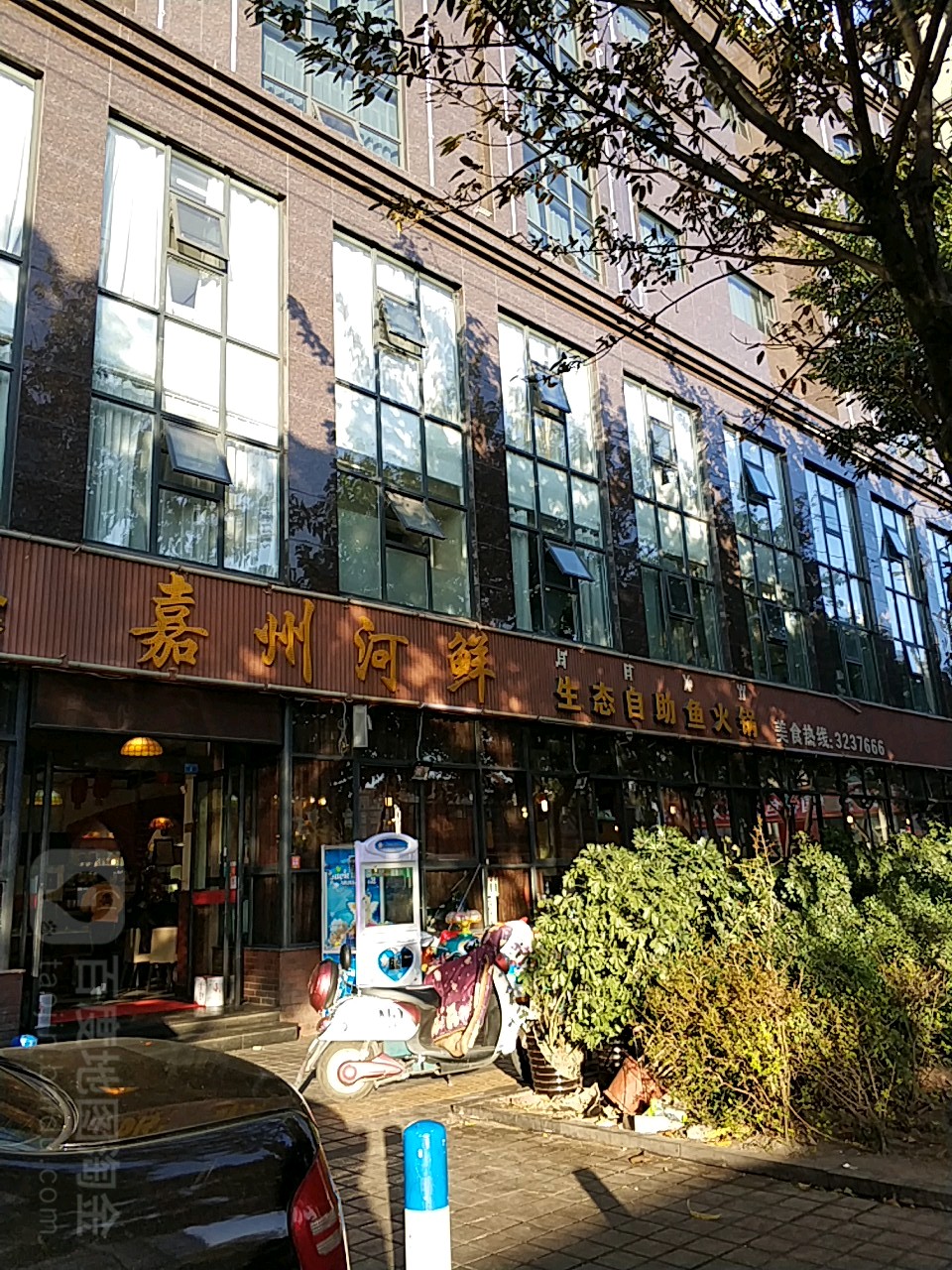 加州板河鲜