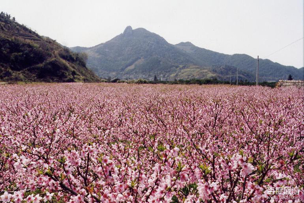 桃花小镇景点大全图片