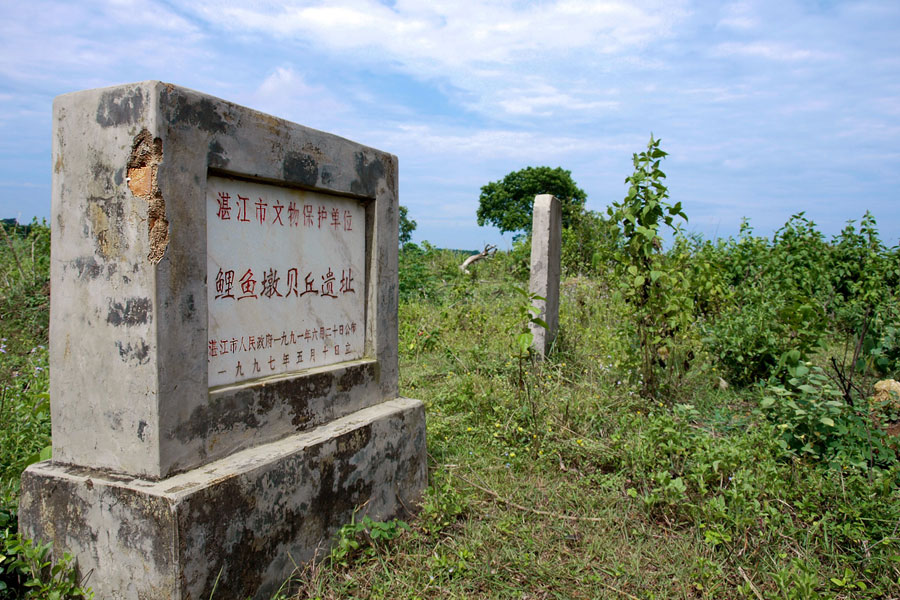 新会贝丘遗址图片