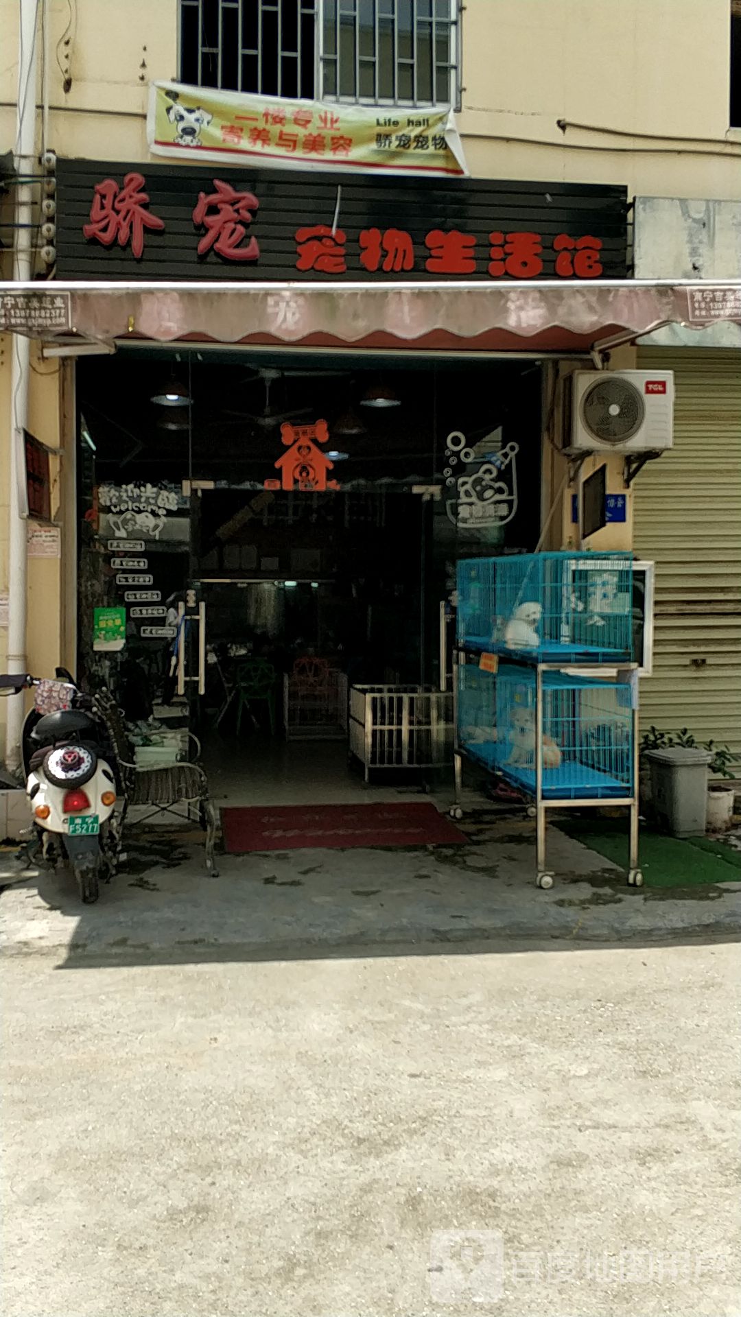 骄宠宠物生活馆