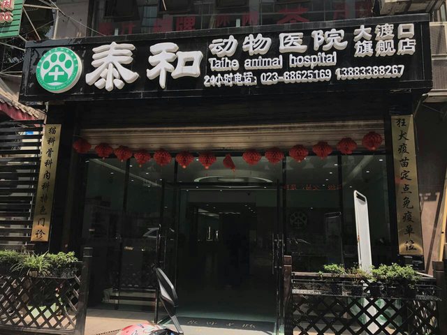 泰合宠物医院(大渡口旗舰店)