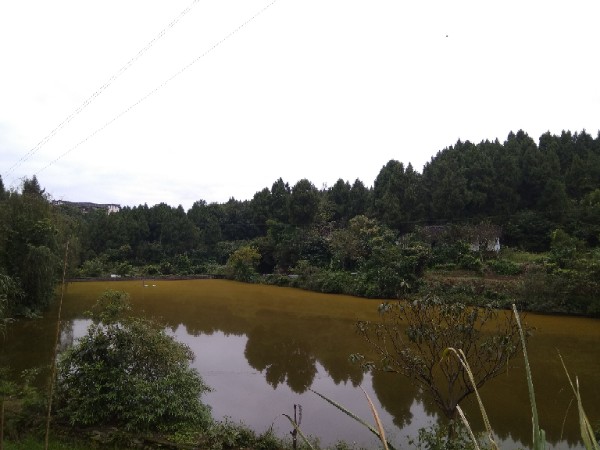 南充市仪陇县龙神垭村