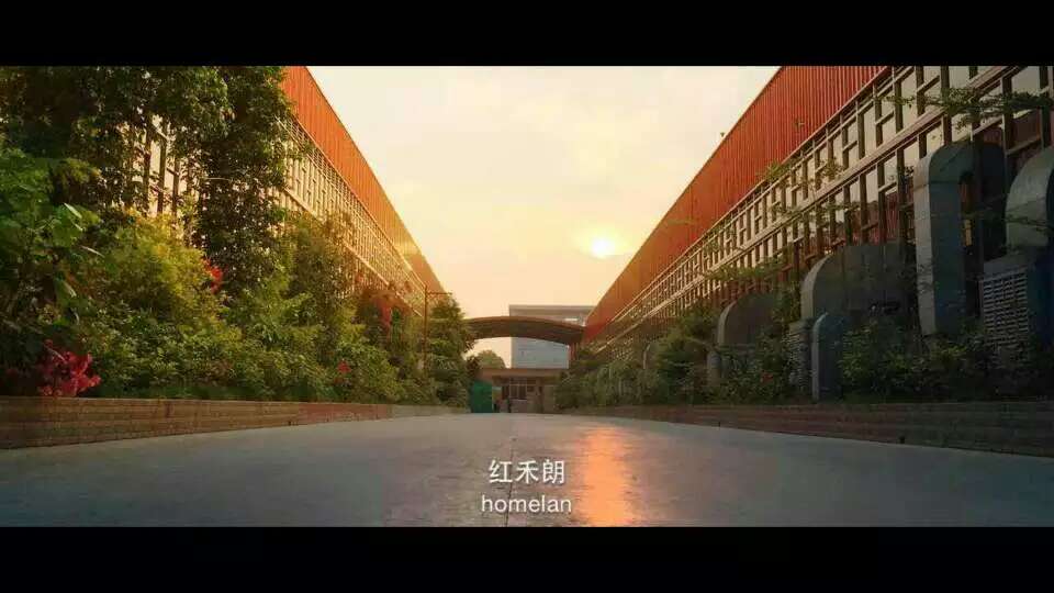 广东红禾朗电工有限公司