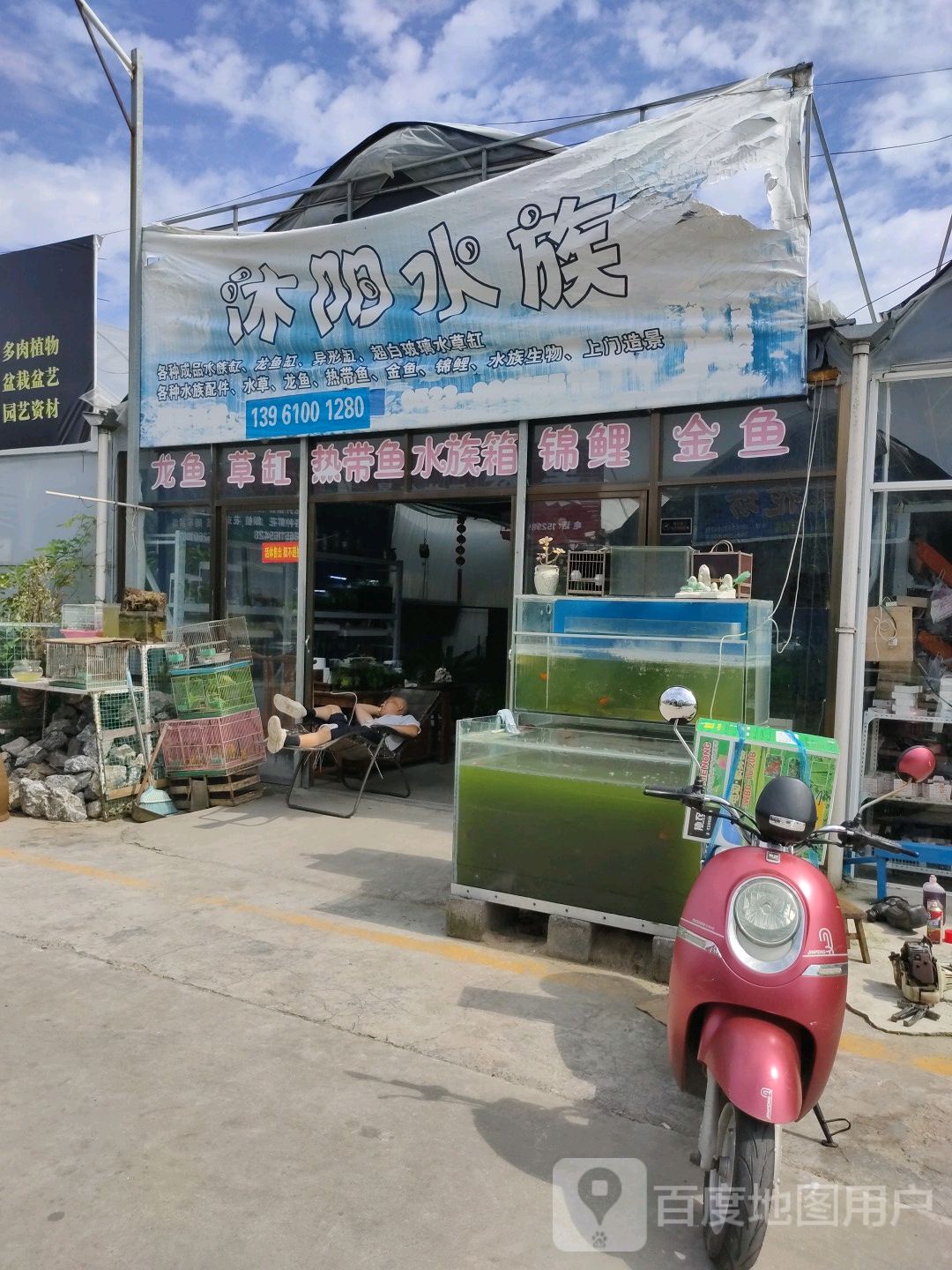 沐阳水景(东唐花鸟古玩市场店)