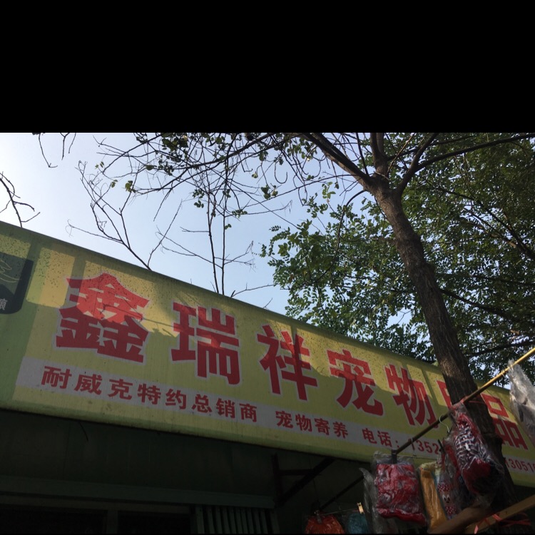 鑫锐祥宠宠物店(永乐小区店)