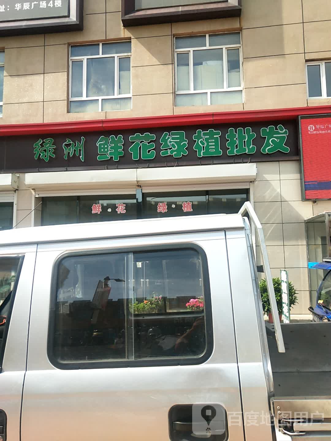 绿洲鲜花绿植批发
