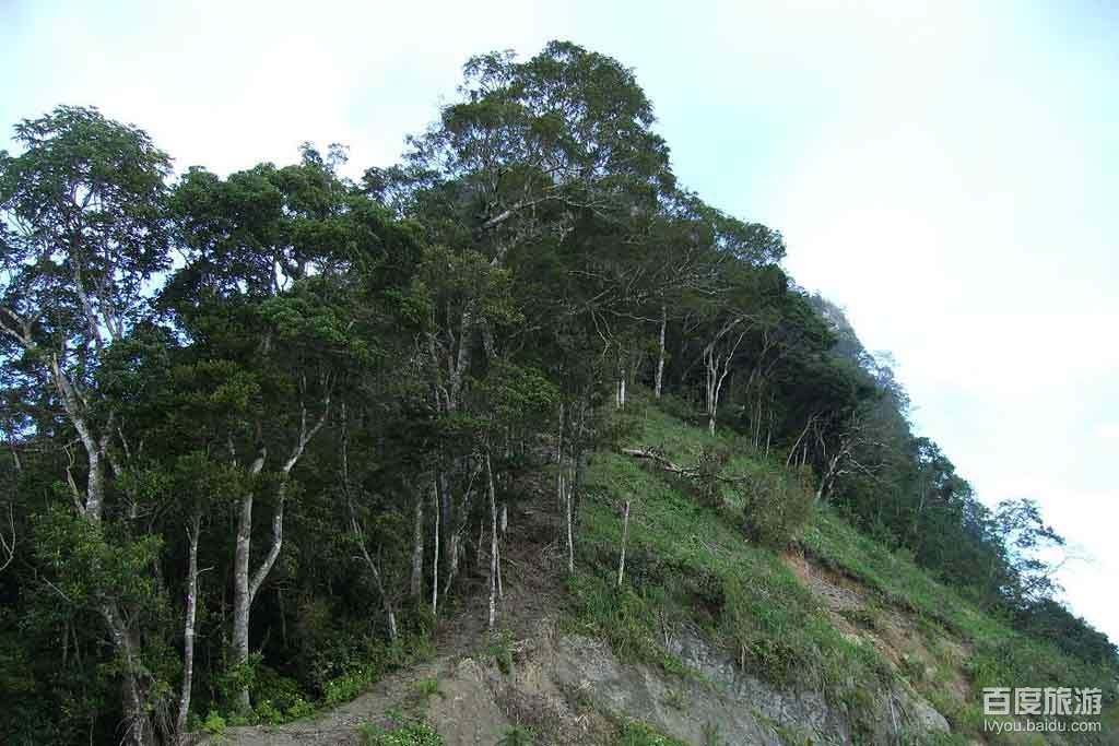 石山园景区