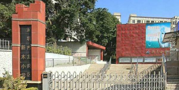新木小学