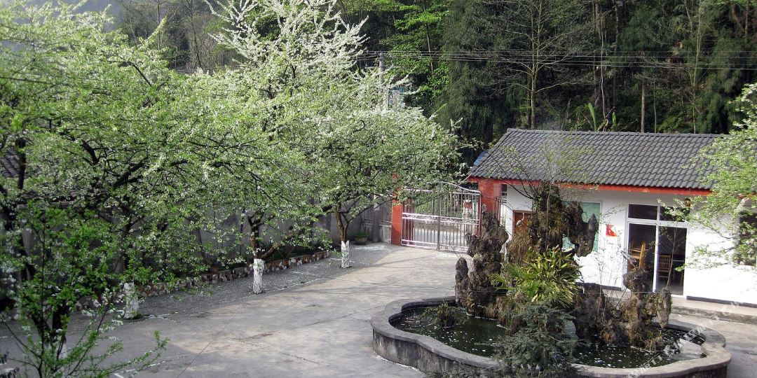 西岭雪山清如许农家乐