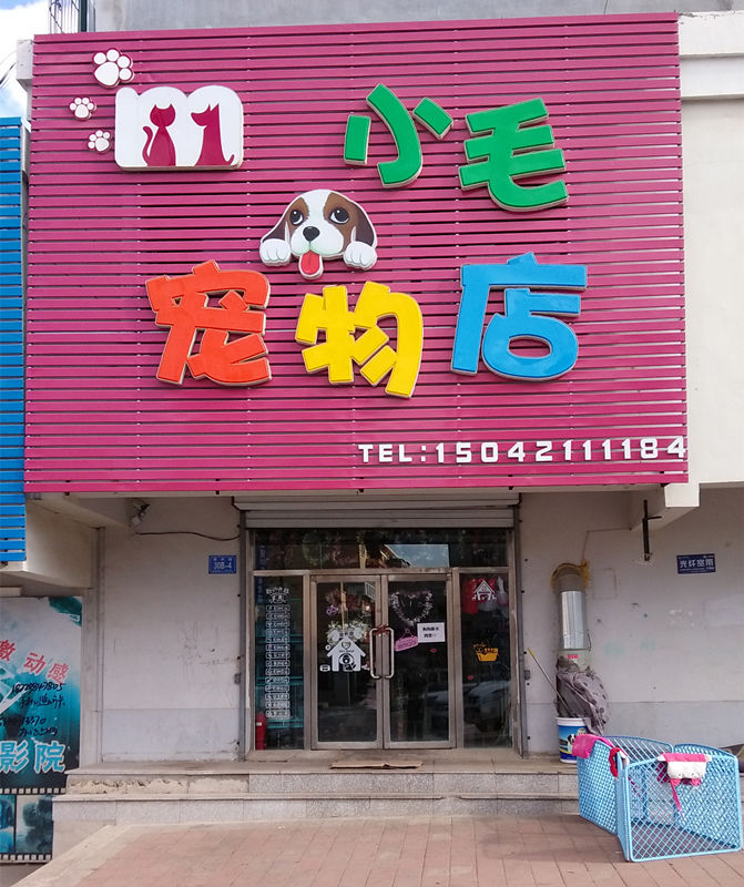 小毛宠物门诊