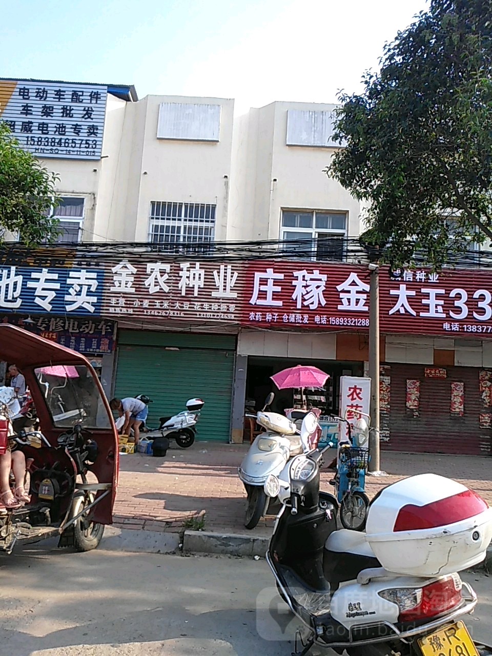 社旗县赊店镇金农种业