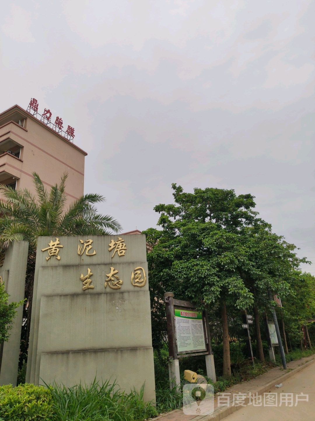 东莞市鼎力薄膜科技有限公司