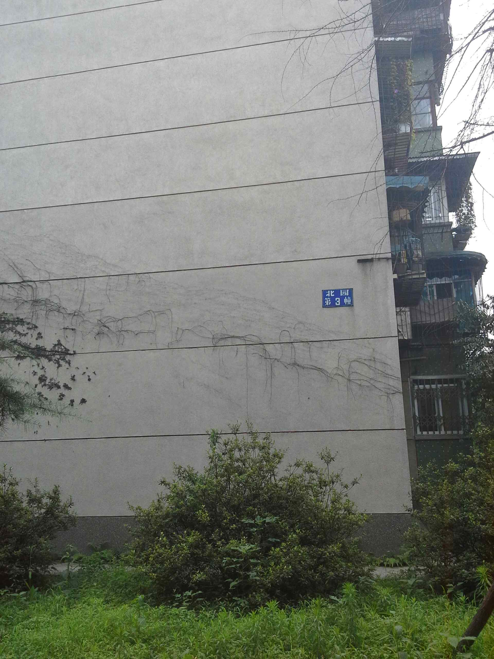 西南交通大学北园-3幢_小区详情_地址_房价均价_二手房-百度房产