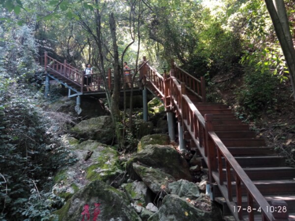 陕西省宝鸡市太白县鹦鸽镇柴胡山村