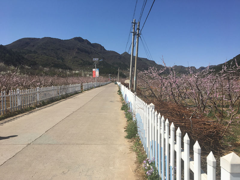 桃源深处乡村俱乐部