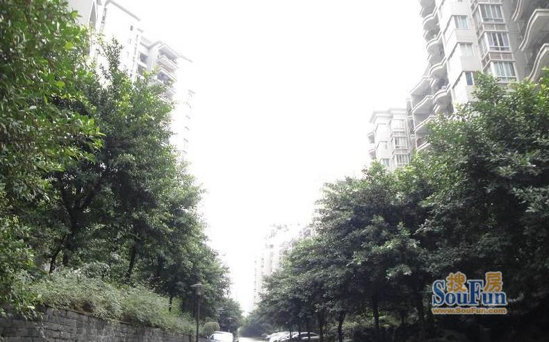 翰墨山水