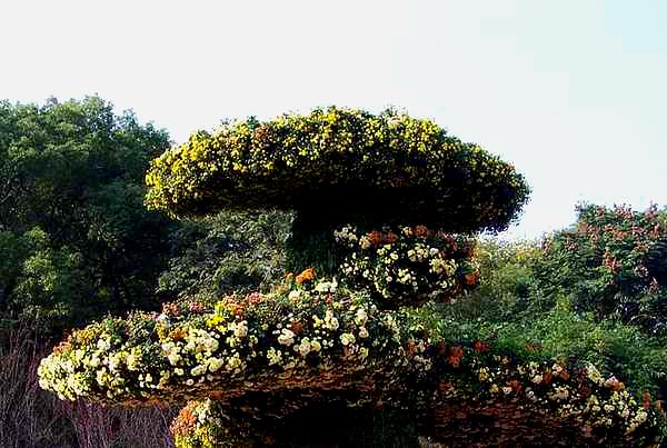 宜昌市逮萝植物园
