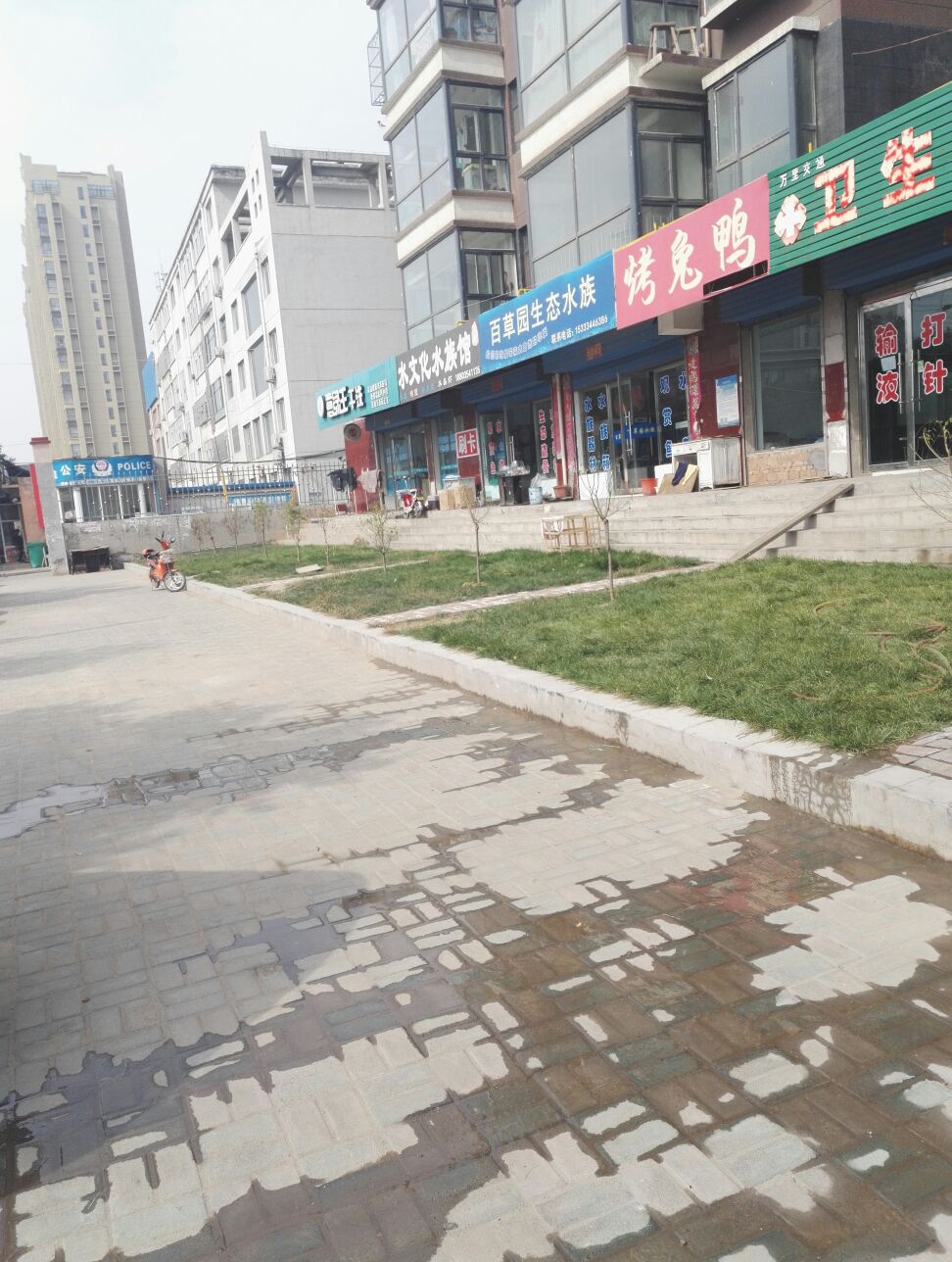 百草园生态水族(华悦尚城店)