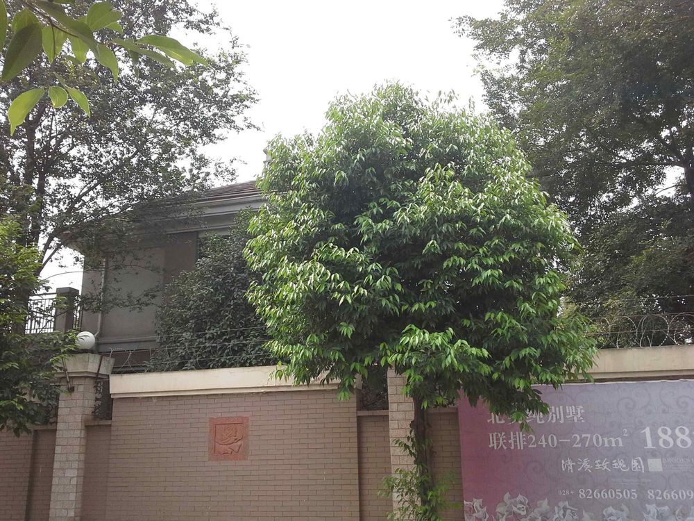 地址(位置,怎么去,怎么走):  四川省成都市温江区清溪玫瑰园134幢