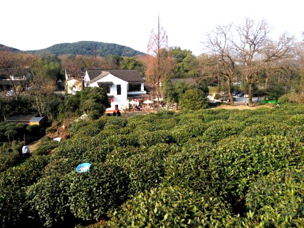 西湖龙井茶文化景区