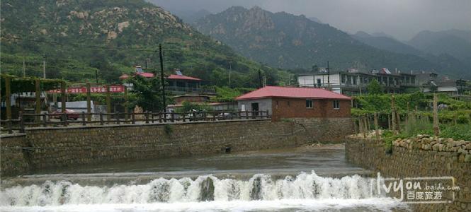 肥西老母鸡家园