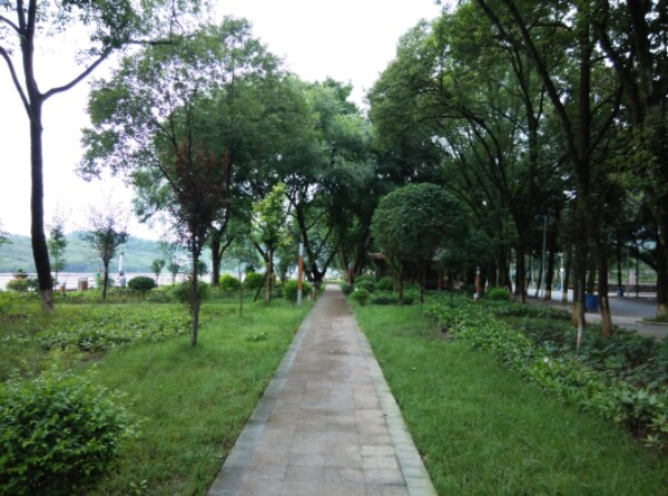 河滨公园