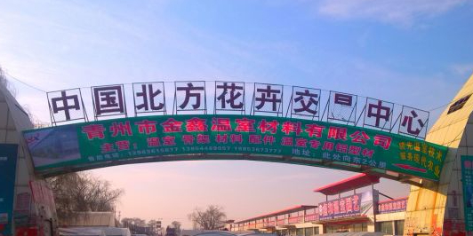 中国北方花卉交易中心(万红大道店)