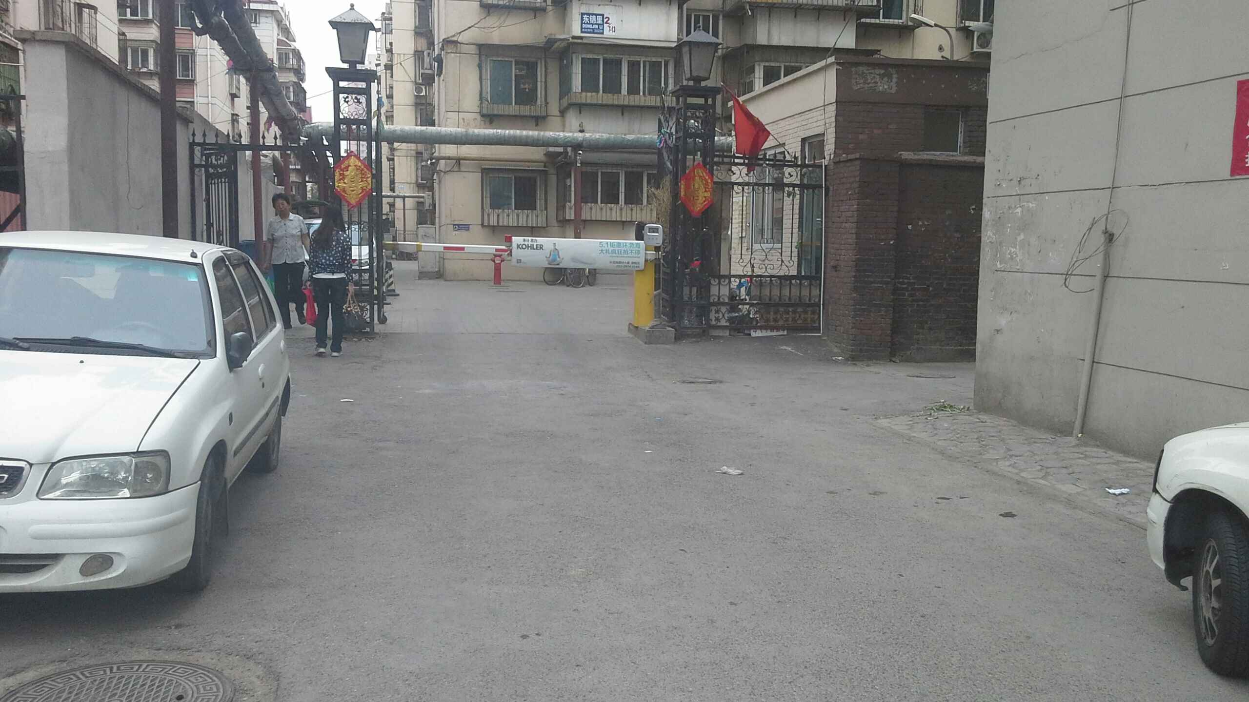 东锦鲤