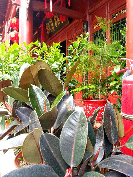 清宁净寺