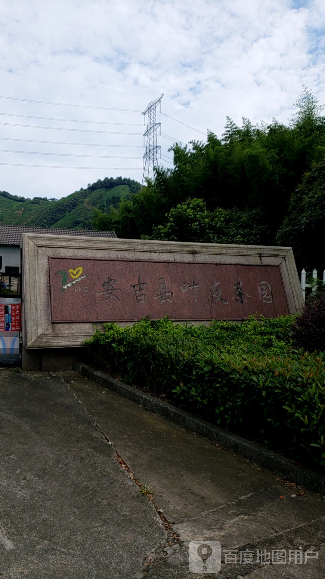 安吉县叶友茶园
