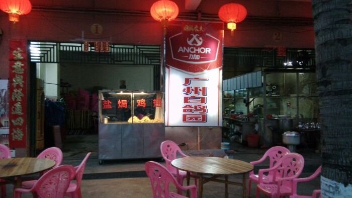 广州白鸽园(二中店)