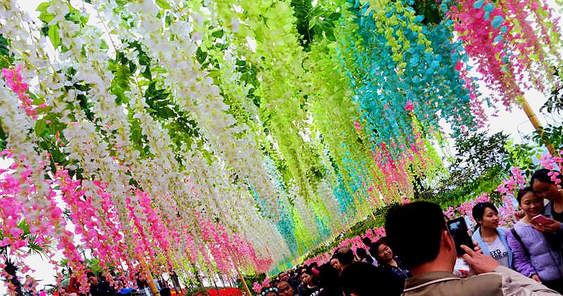 龙腾花舞风景区