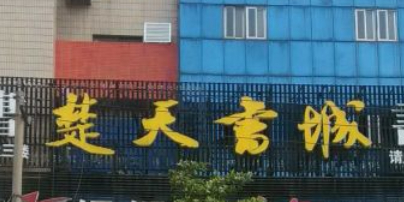 楚天书城