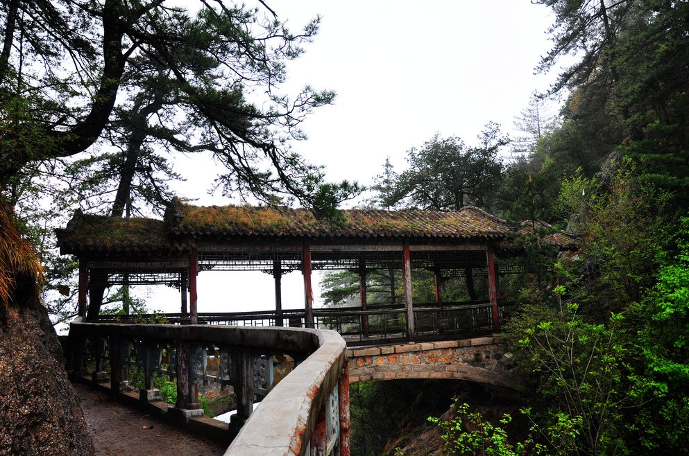 地址(位置,怎麼去,怎麼走): 天水市麥積區伯陽鎮石門村石門景區內