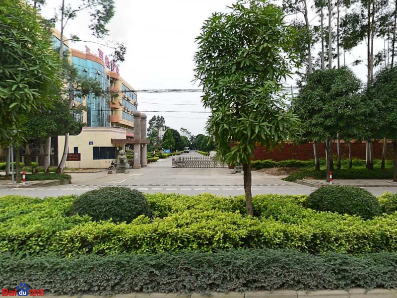 广西百色甘化股份有限公司