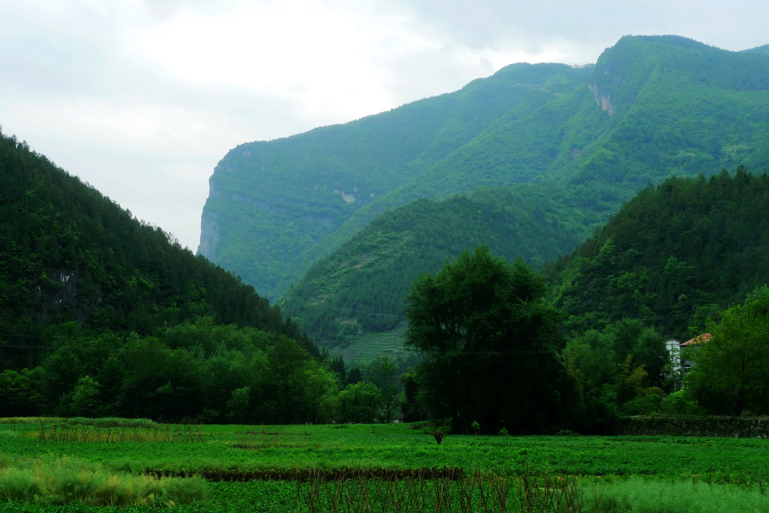 大邑山