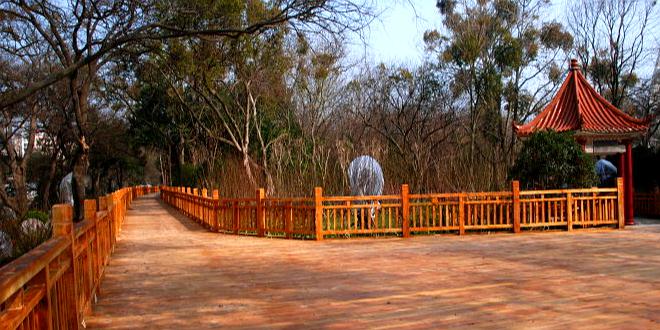 飞龙岛公园
